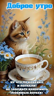 Открытка «С добрым утром»: Доброе утро: Котик, кофе и нежное пожелание. Тэги: кот, животное, пожелание, хорошего дня…