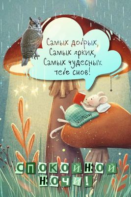 Открытка «С добрым утром»: Чудесных снов и доброй ночи!. Тэги: животное, пожелание, позитивная, красивая, уют, осень…