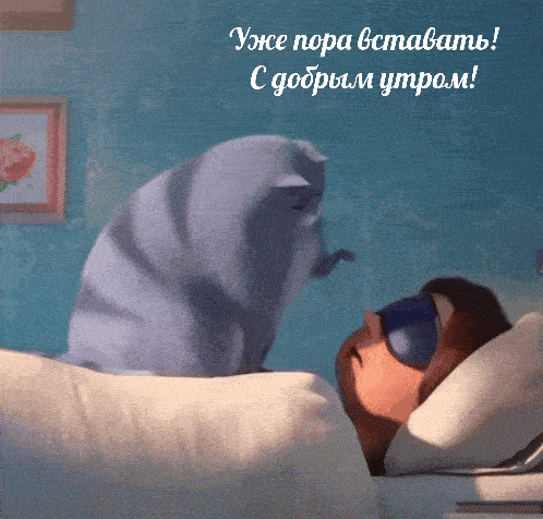 Открытка «С добрым утром»: Уже пора вставать! Доброе утро от котика.. Тэги: кот, животное, пожелание, позитивная, юмор…