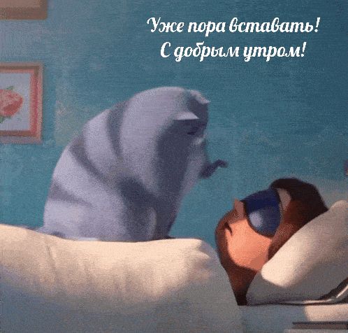 Открытка «С добрым утром»: Уже пора вставать! Доброе утро от котика.. Тэги: кот, животное, пожелание, позитивная, юмор…