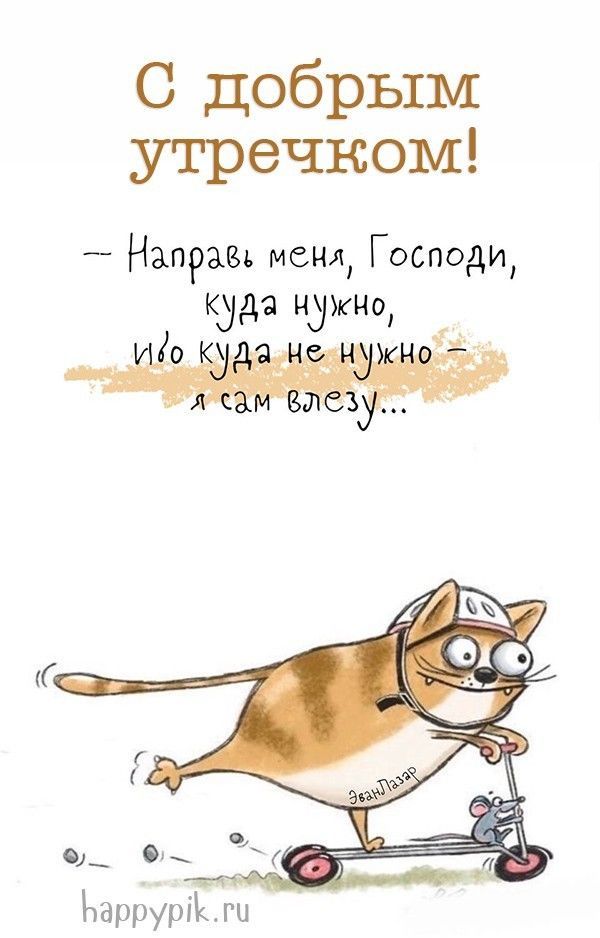 Открытка «С добрым утром»: С добрым утром: кот на самокате и мудрое пожелание. Тэги: кот, животное, пожелание, позити…
