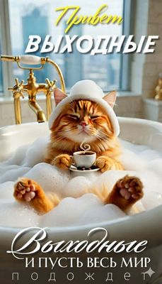 Открытка «С добрым утром»: Доброе утро! Пушистые выходные, мир подождет. Тэги: кот, животное, пожелание, отличное нас…