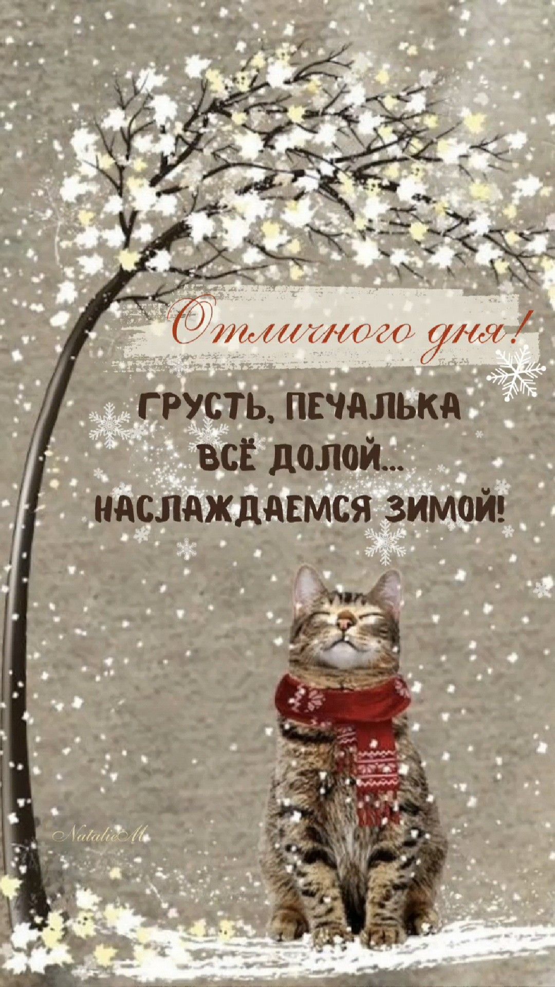 Открытка «С добрым утром»: С добрым утром! Наслаждаемся зимой с милым котом!. Тэги: кот, животное, пожелание, отлично…