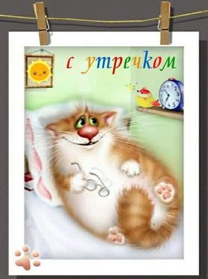 Открытка «С добрым утром»: С утречком: милый кот, солнце и хорошее настроение. Тэги: кот, животное, пожелание, позити…