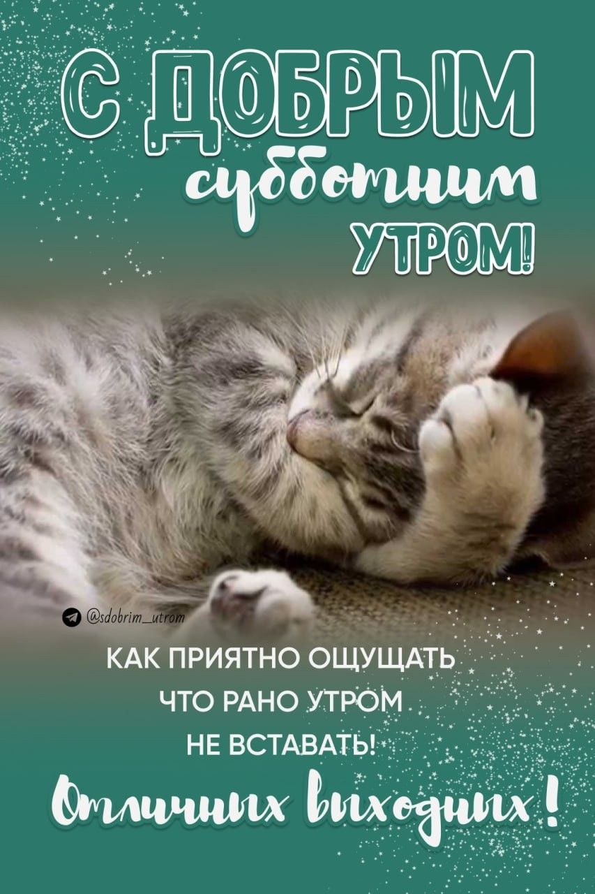 Открытка «С добрым утром»: С добрым субботним утром! Не вставай, отдыхай!. Тэги: кот, животное, пожелание, позитивная…
