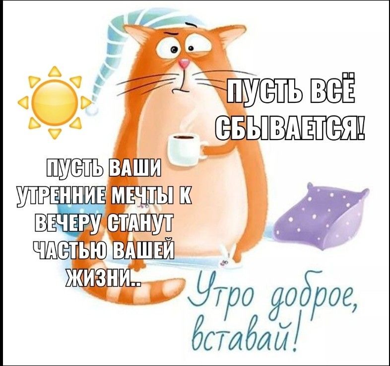 Открытка «С добрым утром»: Доброе утро: кот, кофе и пусть мечты сбываются!. Тэги: кот, животное, пожелание, юмор, утро…