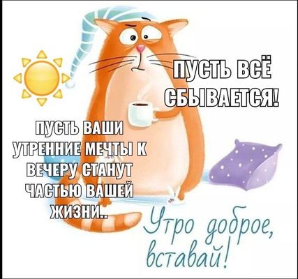 Открытка «С добрым утром»: Доброе утро: кот, кофе и пусть мечты сбываются!. Тэги: кот, животное, пожелание, юмор, утро…