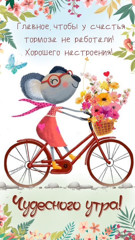 Открытка «С добрым утром»: С добрым утром! Счастье на велосипеде без тормозов!. Тэги: животное, пожелание, прикольная…