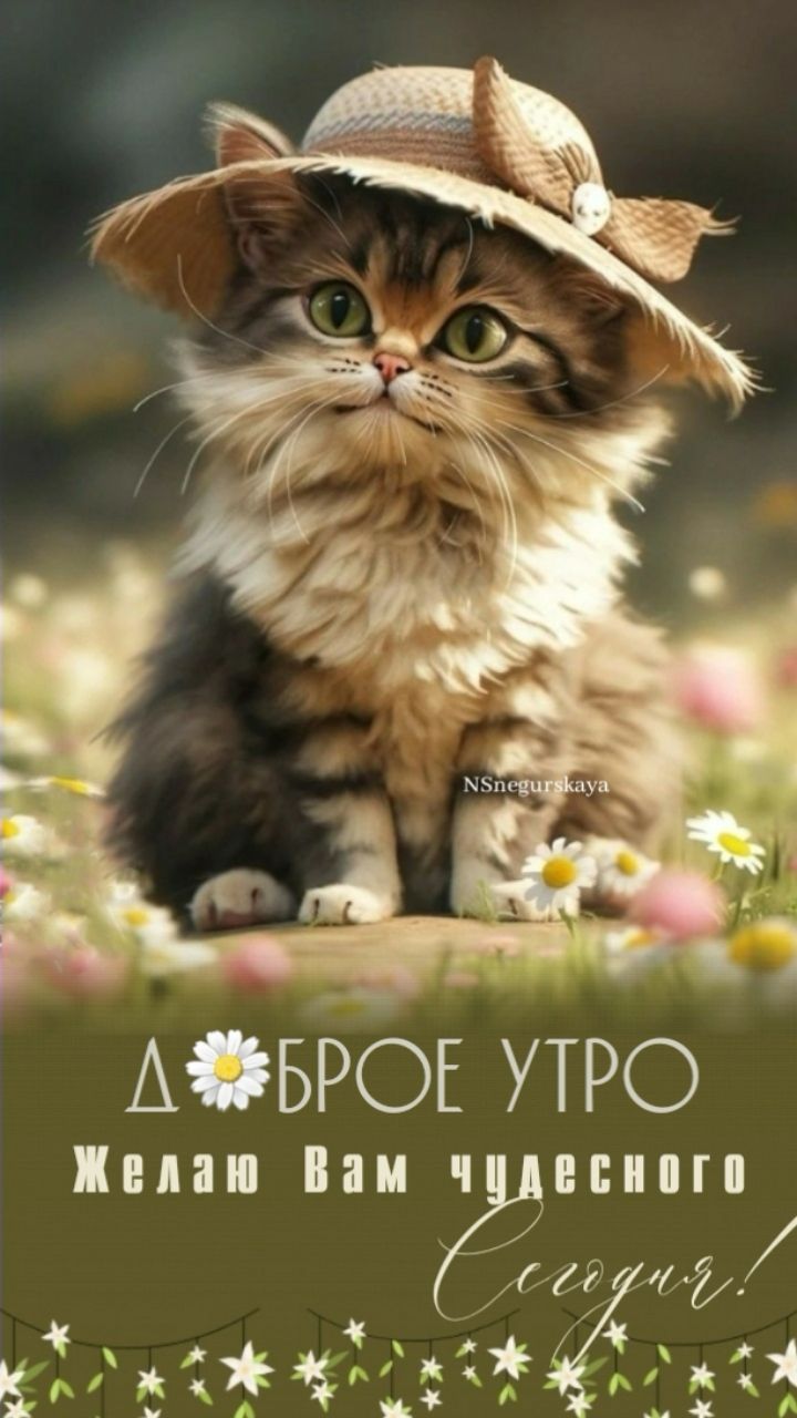 Открытка «С добрым утром»: Доброе утро: пушистый котёнок в шляпке и цветы. Тэги: кот, животное, пожелание, отличное н…