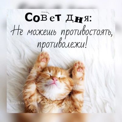Открытка «С добрым утром»: С добрым утром: пушистый совет для уютного дня. Тэги: кот, животное, пожелание, позитивная…