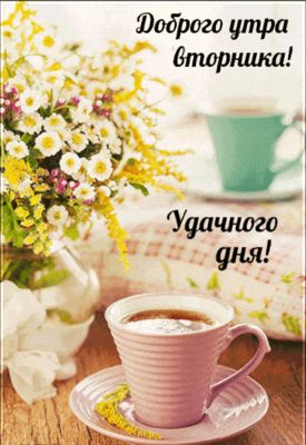 Открытка «С добрым утром»: Нежное утро вторника: цветы, чай и удачного дня!. Тэги: пожелание, позитивная, хорошего дня…