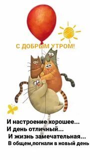 Открытка «С добрым утром»: Доброе утро! Пушистый позитив и яркий день. Тэги: кот, животное, пожелание, позитивная…