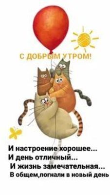 Открытка «С добрым утром»: Доброе утро! Пушистый позитив и яркий день. Тэги: кот, животное, пожелание, позитивная…