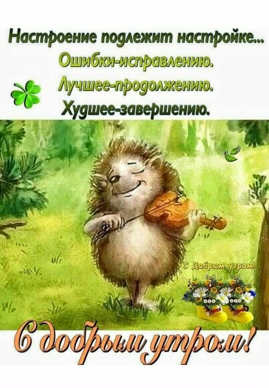 Открытка «С добрым утром»: Утренний концерт ёжика: настрой настроение!. Тэги: животное, пожелание, отличное настроение…