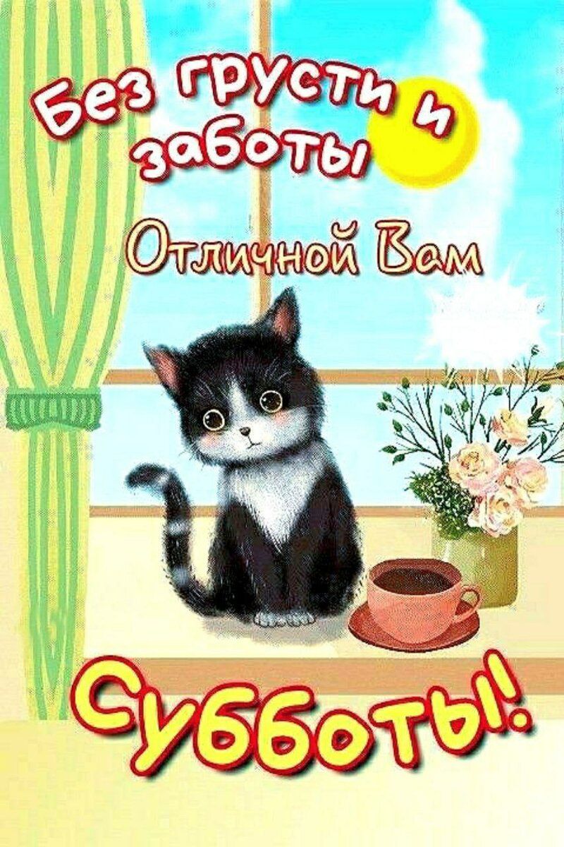 Открытка «С добрым утром»: Отличной Субботы без грусти – с милым котёнком!. Тэги: кот, животное, пожелание, позитивная…