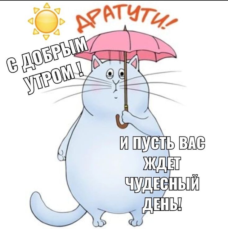 Открытка «С добрым утром»: Доброе утро! Аратути от пухлого кота с зонтом. Тэги: кот, животное, пожелание, позитивная…