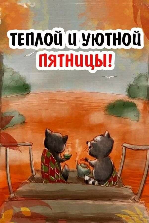 Открытка «С добрым утром»: Уютная пятница: тепло и чай для прекрасного дня!. Тэги: кот, животное, пожелание, позитивн…