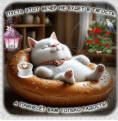 Открытка «С добрым утром»: С добрым утром! Пусть день начнется с радости!. Тэги: кот, животное, пожелание, отличное н…