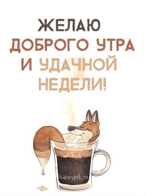 Открытка «С добрым утром»: Позитивное утро и удачной недели!. Тэги: животное, пожелание, утро, друг, подруга, кофе…