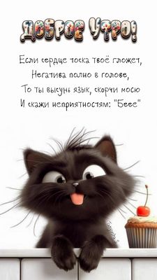 Открытка «С добрым утром»: Доброе утро: милый кот прогоняет негатив. Тэги: кот, животное, пожелание, позитивная…