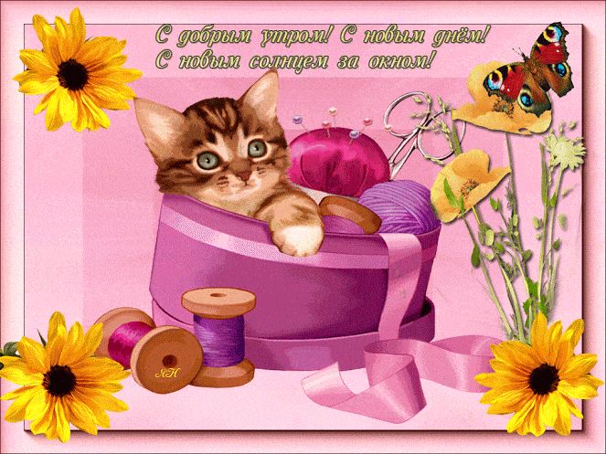 Открытка «С добрым утром»: Доброе утро с котёнком, солнцем и бабочкой!. Тэги: кот, животное, пожелание, позитивная…