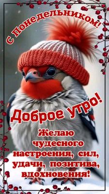 Открытка «С добрым утром»: Доброе утро, понедельник! Позитив и вдохновение. Тэги: животное, пожелание, позитивная…