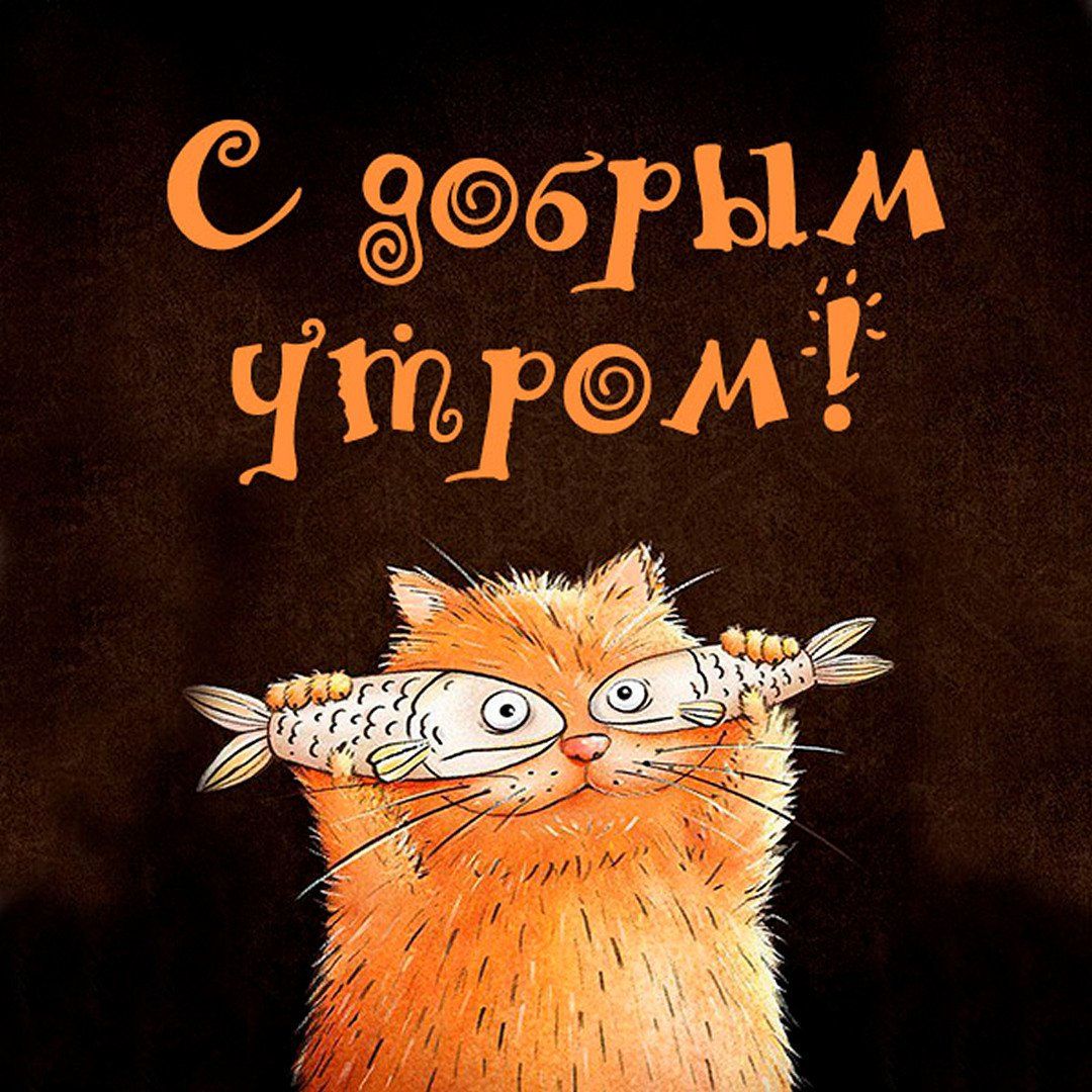 Открытка «С добрым утром»: С добрым утром от пушистого кота с рыбками!. Тэги: кот, животное, пожелание, позитивная…