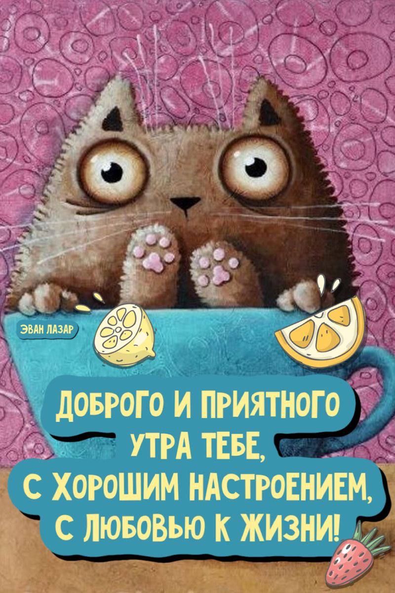 Открытка «С добрым утром»: Доброе утро от милого котика с лимоном и позитивом!. Тэги: кот, животное, пожелание, улыбка…