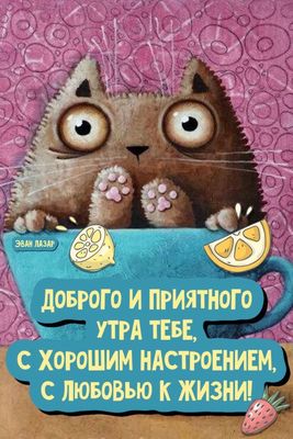 Открытка «С добрым утром»: Доброе утро от милого котика с лимоном и позитивом!. Тэги: кот, животное, пожелание, улыбка…