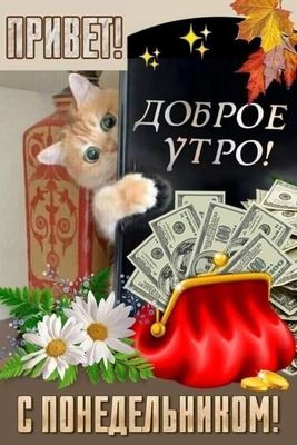 Открытка «С добрым утром»: Привет! Доброе утро понедельника с котиком и деньгами. Тэги: кот, животное, пожелание…