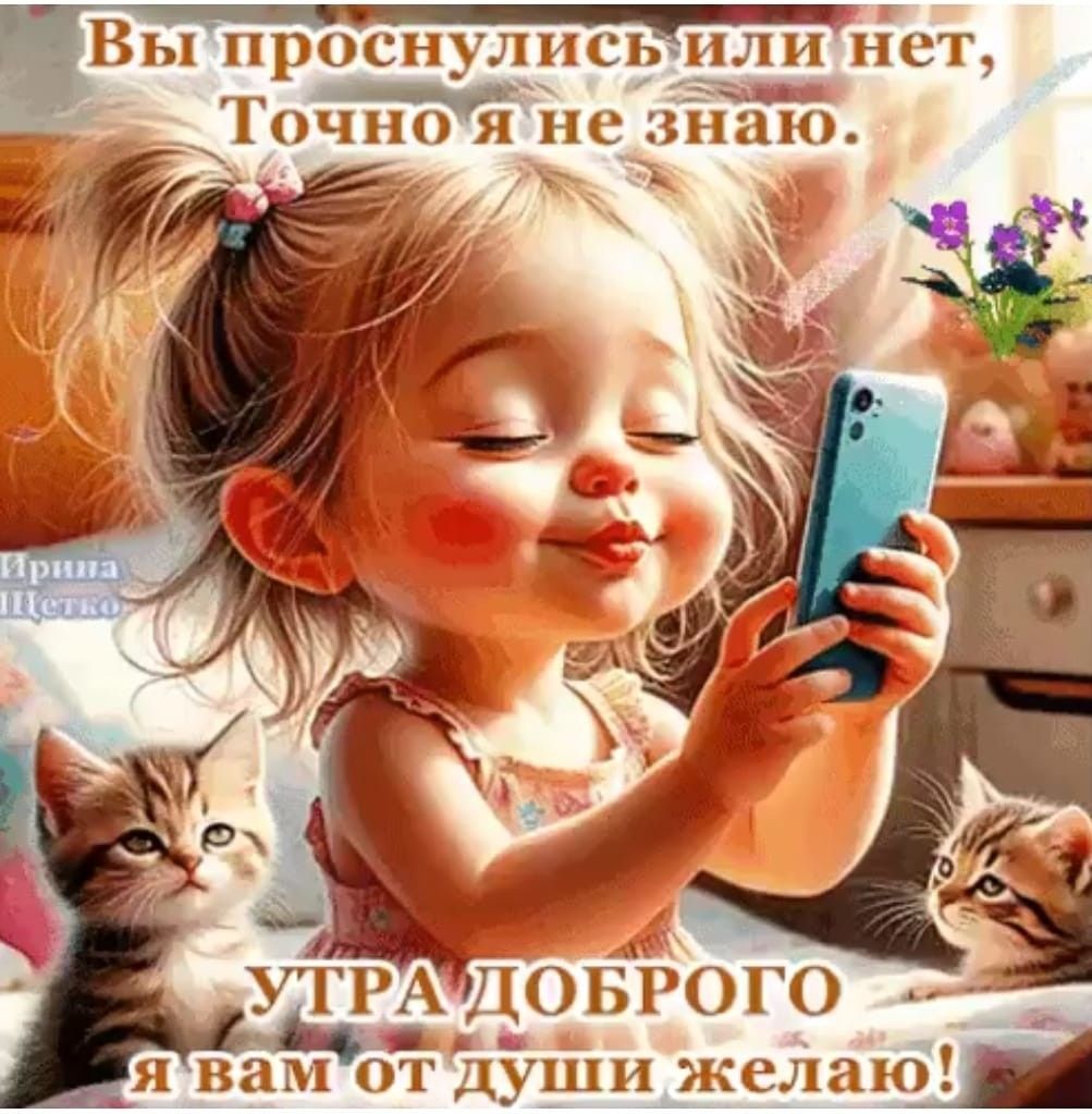 Открытка «С добрым утром»: Нежное доброе утро с улыбкой и котиками. Тэги: кот, животное, пожелание, позитивная, улыбка…