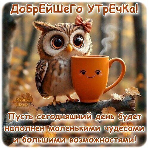 Открытка «С добрым утром»: Милая сова и чашка кофе: Добрейшего утречка!. Тэги: пожелание, улыбка, утро, красивая, кофе…