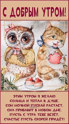 Открытка «С добрым утром»: Уютное доброе утро с совой, котом и теплыми пожеланиями. Тэги: кот, животное, пожелание…