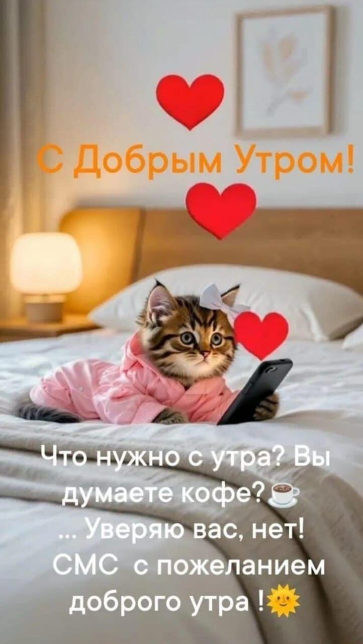 Открытка «С добрым утром»: Милый котёнок шлёт доброе утро с любовью!. Тэги: кот, животное, пожелание, позитивная…