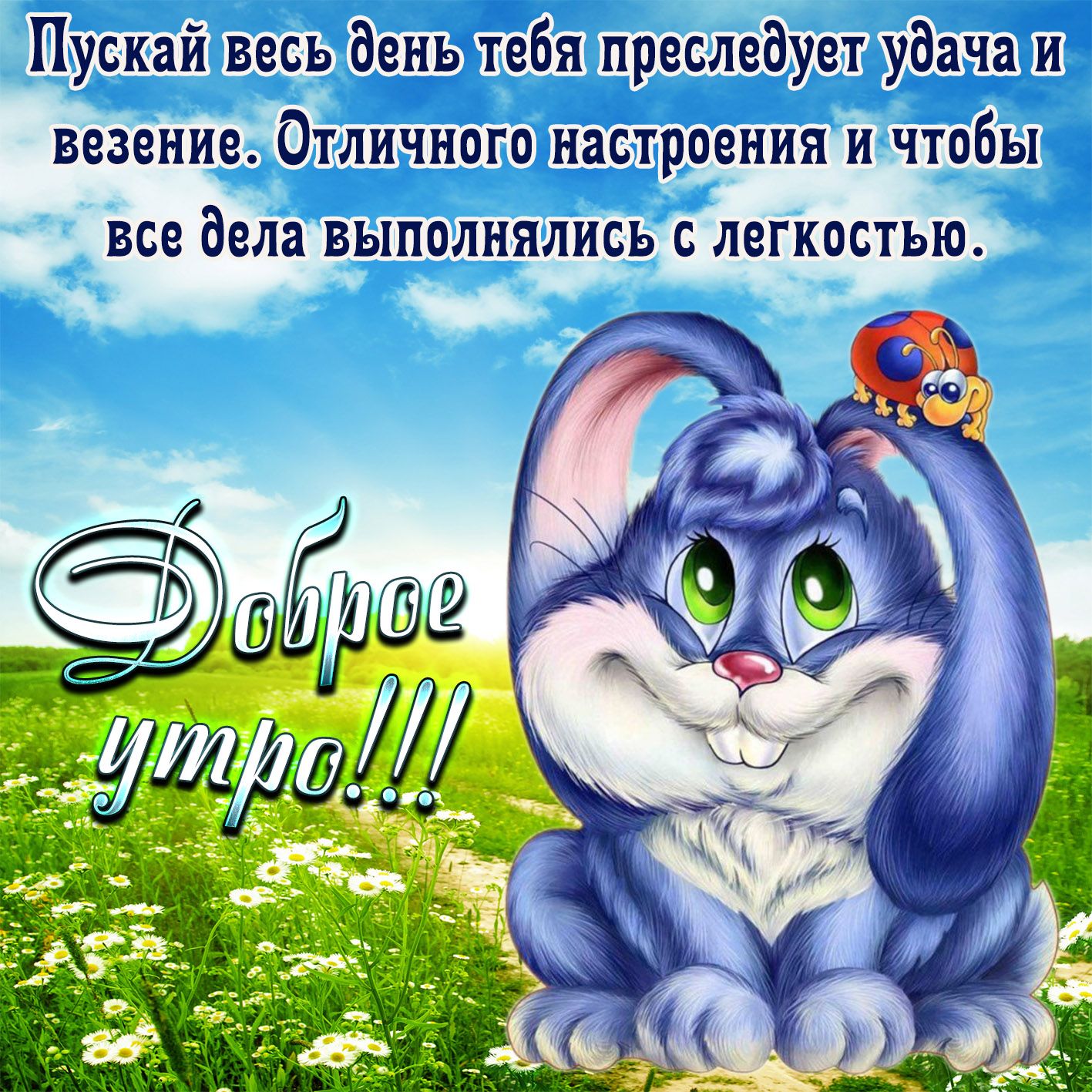 Открытка «С добрым утром»: Доброе утро! Милый заяц желает удачи и везения. Тэги: животное, пожелание, хорошего дня…