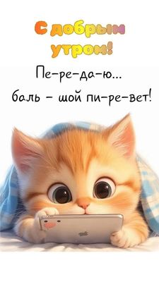 Открытка «С добрым утром»: С добрым утром! Милый котёнок шлёт пи-ре-вет!. Тэги: кот, животное, пожелание, позитивная…