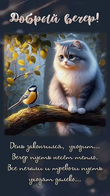 Открытка «С добрым утром»: С добрым утром: нежный кот, птица и тепло осени. Тэги: кот, животное, пожелание, позитивная…