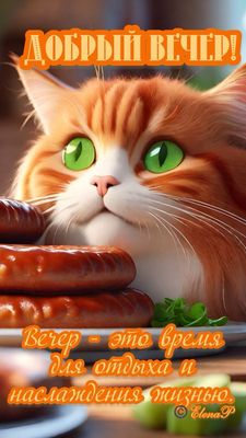 Открытка «С добрым утром»: С добрым утром: милый кот и вкусный завтрак. Тэги: кот, животное, пожелание, позитивная…