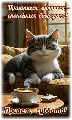 Открытка «С добрым утром»: Уютная суббота с милым котом и ароматным кофе. Тэги: кот, животное, пожелание, позитивная…