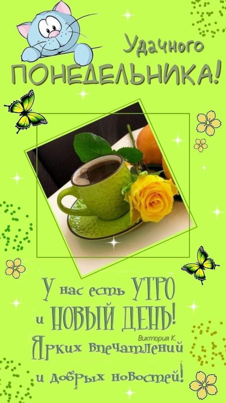 Открытка «С добрым утром»: С добрым утром! Удачного понедельника и ярких новостей!. Тэги: кот, животное, пожелание…