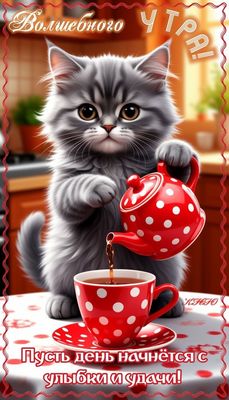 Открытка «С добрым утром»: Волшебного утра с милым котиком и чашечкой чая!. Тэги: кот, животное, пожелание, хорошего…