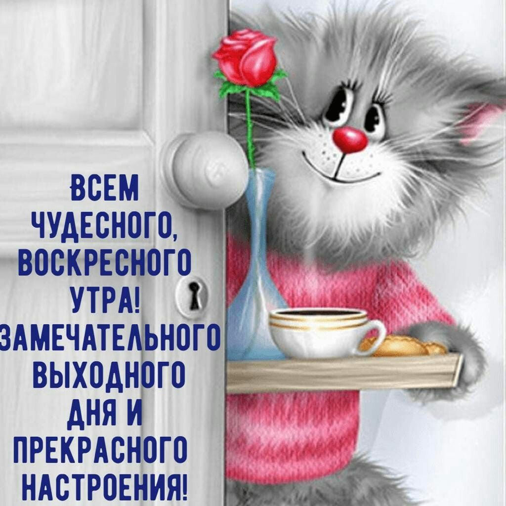 Открытка «С добрым утром»: Воскресное утро: кот, кофе, роза и чудесный день!. Тэги: кот, животное, пожелание, улыбка…