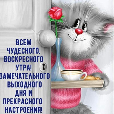Открытка «С добрым утром»: Воскресное утро: кот, кофе, роза и чудесный день!. Тэги: кот, животное, пожелание, улыбка…