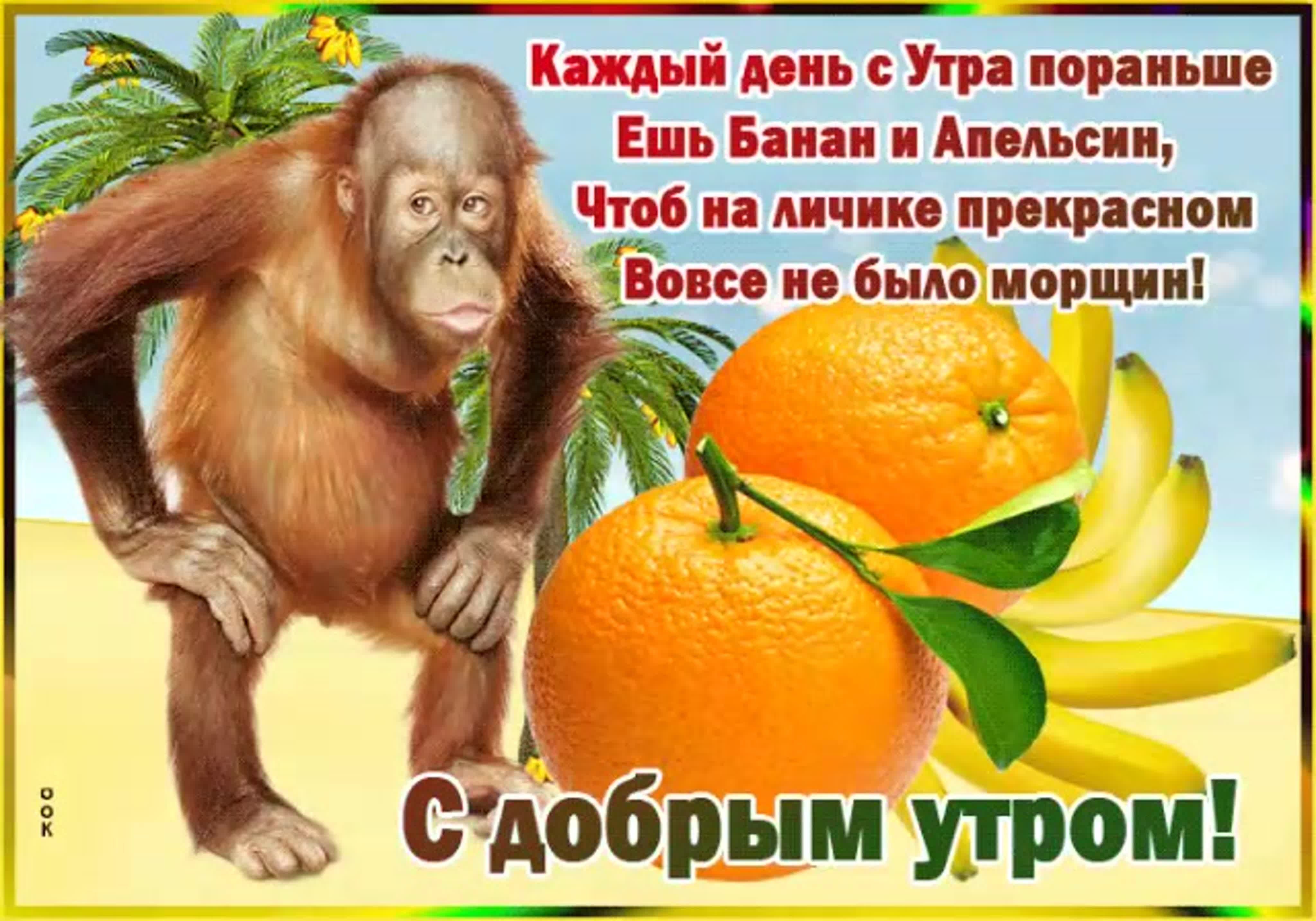 Открытка «С добрым утром»: С добрым утром! Фруктовый секрет молодости. Тэги: животное, пожелание, позитивная, хорошег…