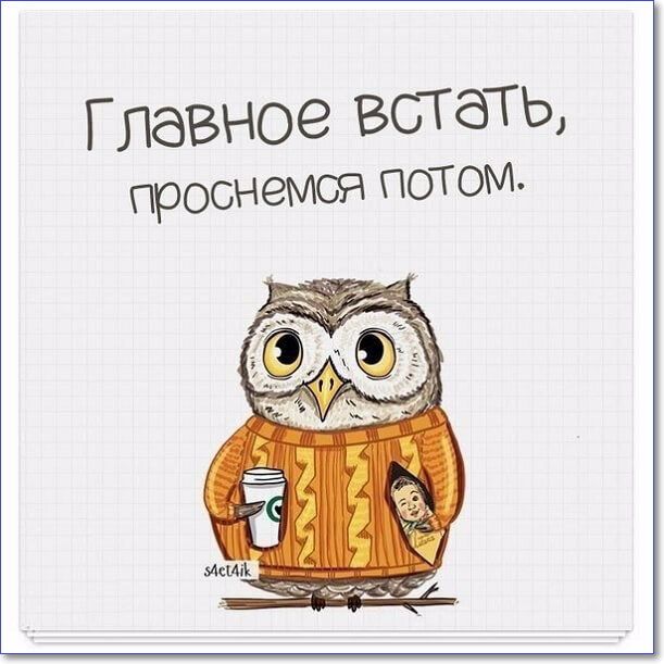 Открытка «С добрым утром»: С добрым утром: Главное встать, проснемся потом!. Тэги: животное, пожелание, позитивная…