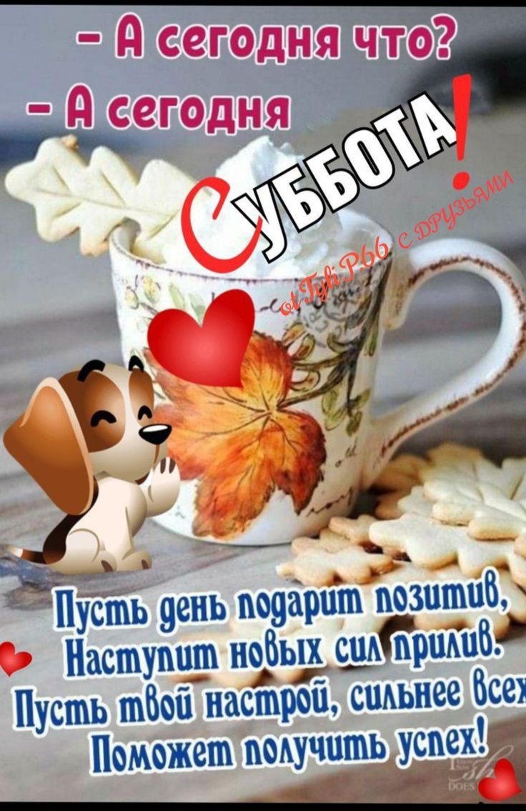 Открытка «С добрым утром»: С добрым утром! Суббота принесет позитив и успех. Тэги: животное, пожелание, позитивная…