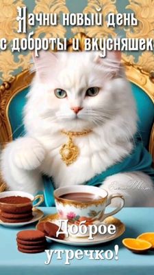 Открытка «С добрым утром»: Пушистое доброе утро: доброта и вкусняшки. Тэги: кот, животное, пожелание, позитивная, утро…