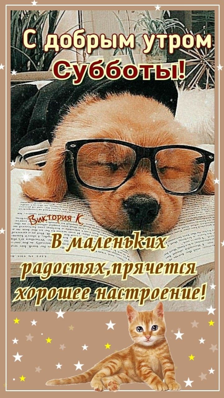 Открытка «С добрым утром»: С добрым утром Субботы! Милые животные и хорошее настроение.. Тэги: кот, животное, пожелан…
