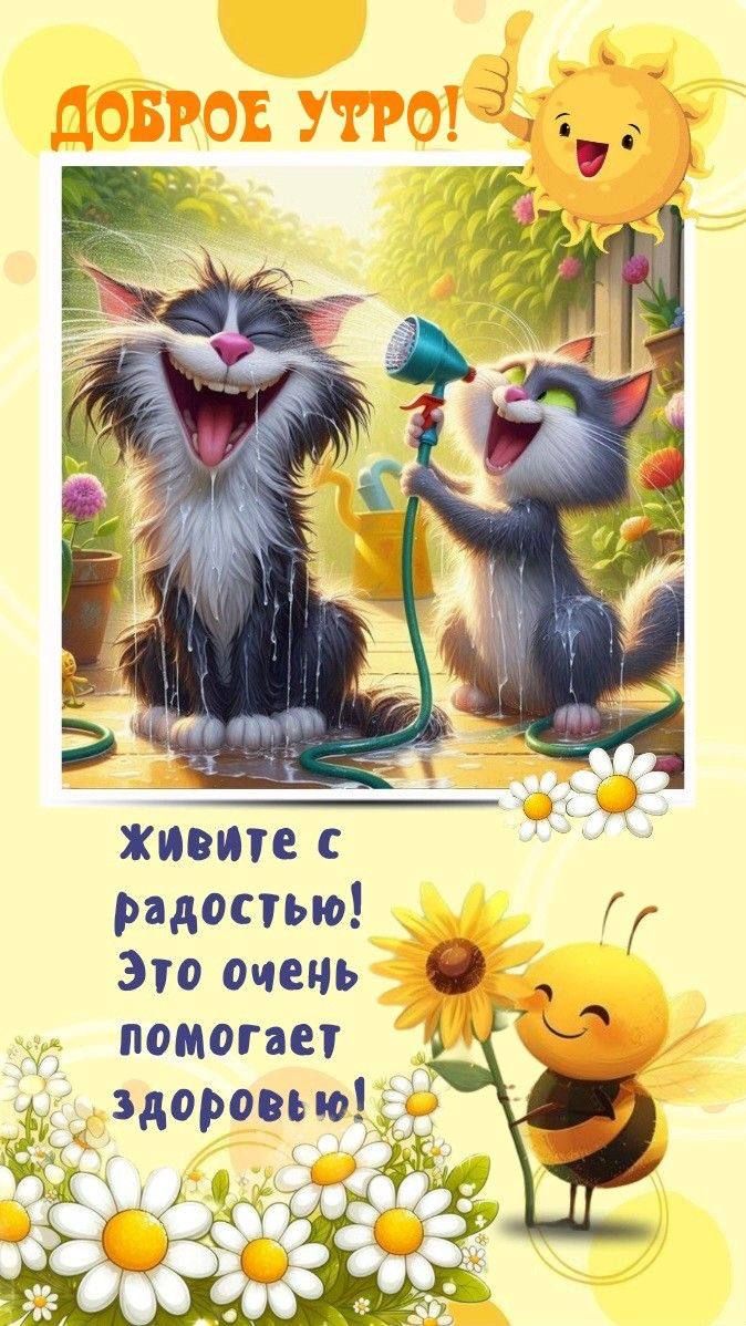 Открытка «С добрым утром»: Зарядись радостью! Доброе утро!. Тэги: кот, животное, пожелание, позитивная, отличное наст…