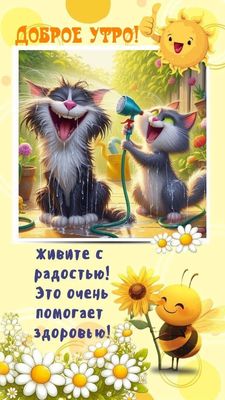Открытка «С добрым утром»: Зарядись радостью! Доброе утро!. Тэги: кот, животное, пожелание, позитивная, отличное наст…